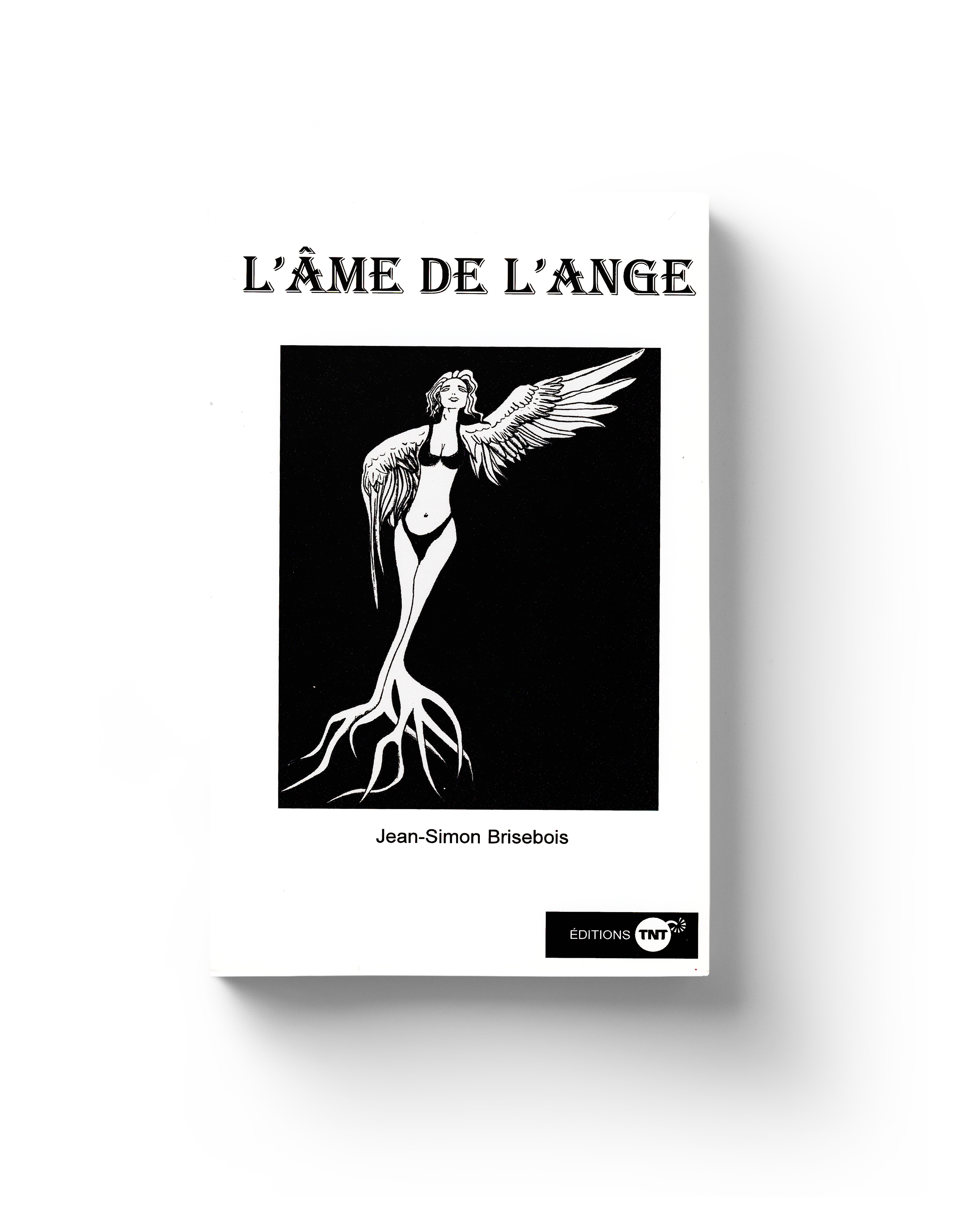 L'âme de l'ange